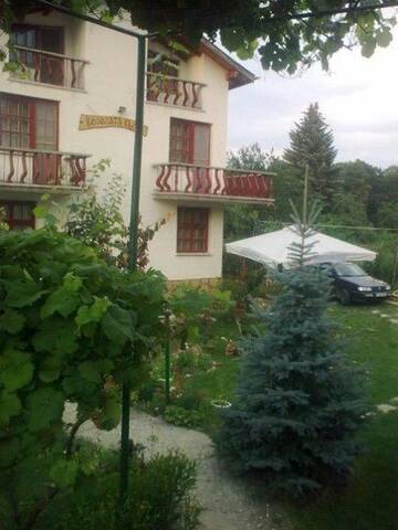 Фотографии Гостевой дом Veselata Guest House г. Долна-Баня (Болгария) №5 Фото Гостевой дом Veselata Guest House г. Долна-Баня 5