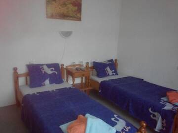 Фото номера Четырехместный номер Гостевой дом Veselata Guest House г. Долна-Баня 3